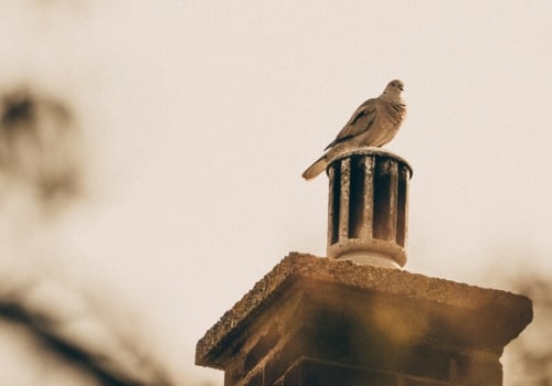 Bij schone schoorsteen?